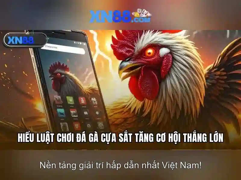 Nguồn gốc và quy mô