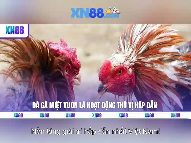 An toàn và chăm sóc khách hàng