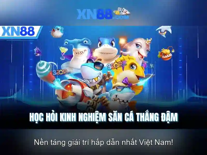 Khuyến mãi và ưu đãi