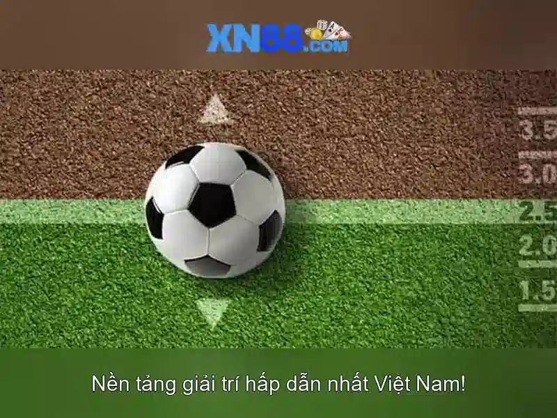 Giao diện nhà cái hoàn hảo