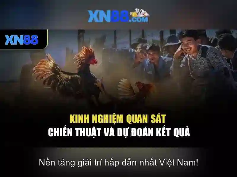 xn88: Trải nghiệm trò chơi trực tuyến và an toàn