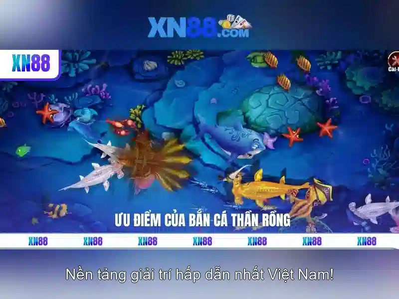 xn88: Nền tảng cá cược trực tuyến và đánh giá tổng quan