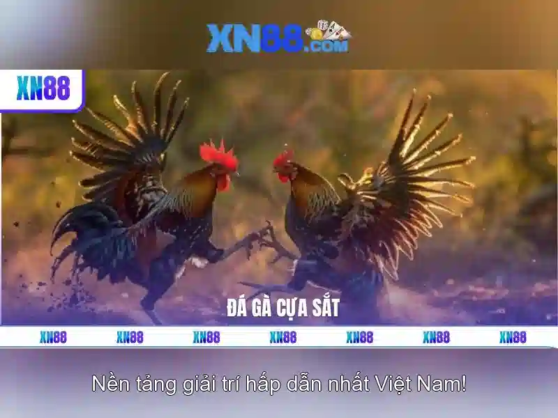 Giới thiệu về xn88