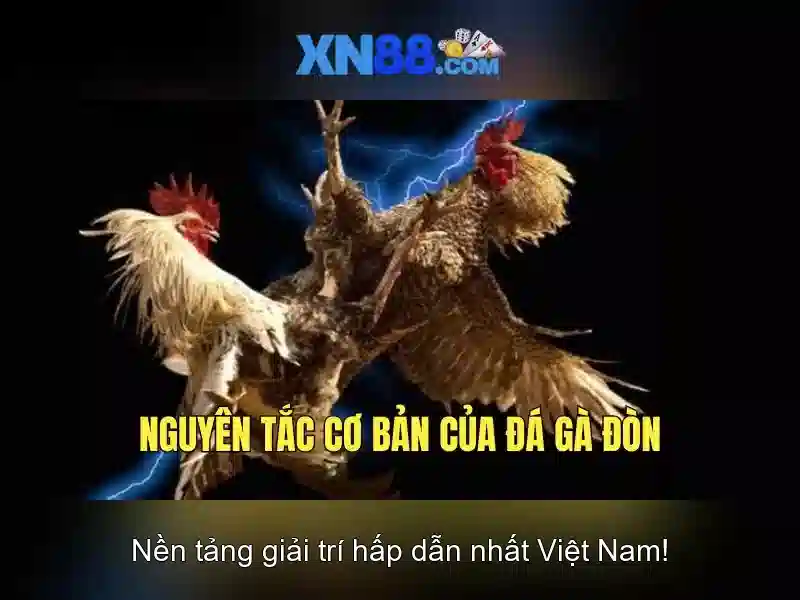 Tại sao xn88 nổi bật