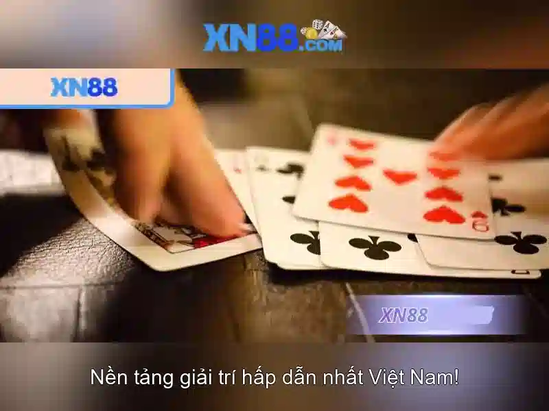 Giới thiệu về xn88