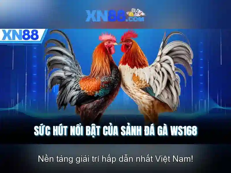 Nguồn gốc và ý nghĩa của xn88