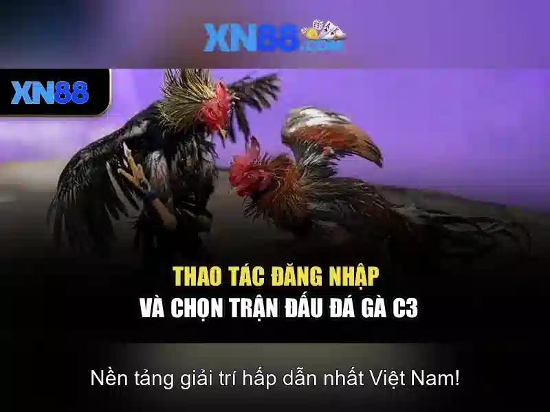 Giới thiệu về xn88