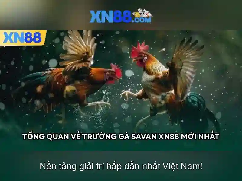 An toàn và pháp lý cho xn88