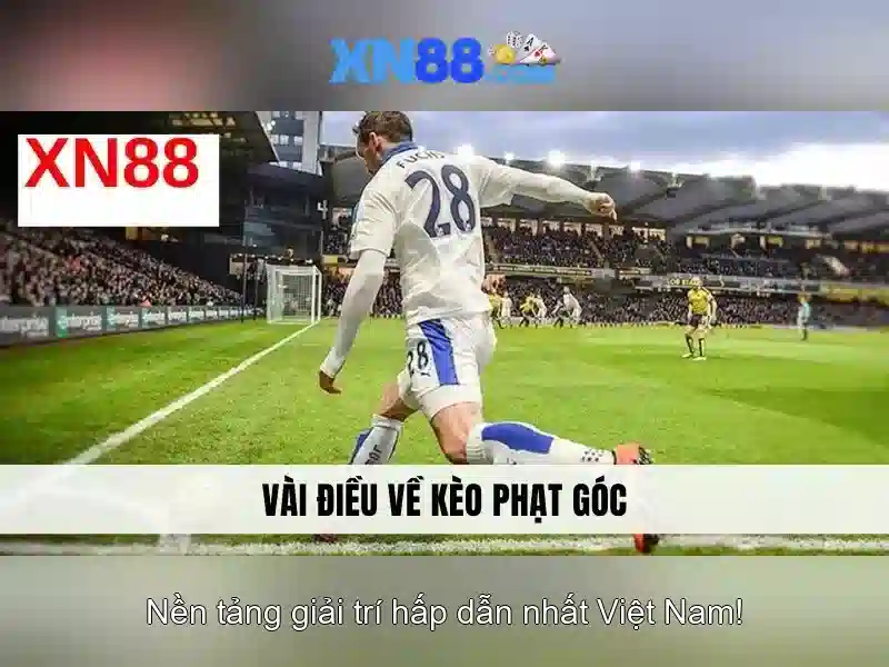 Tính năng thưởng và khuyến mãi