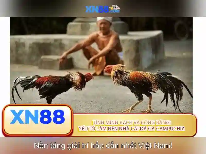 xn88: Nền tảng cược trực tuyến và trò chơi casino Giao diện nhà cái hoàn hảo