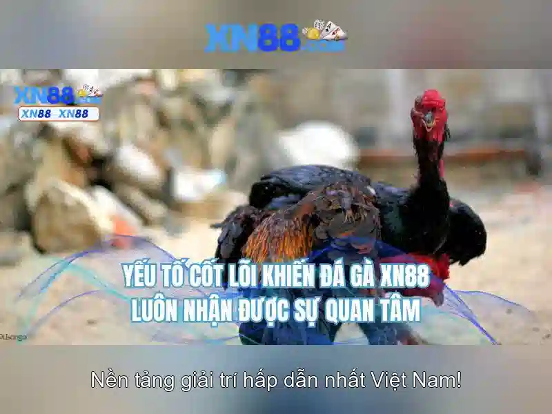 Sản phẩm và dịch vụ cốt lõi: ứng dụng xn88,com