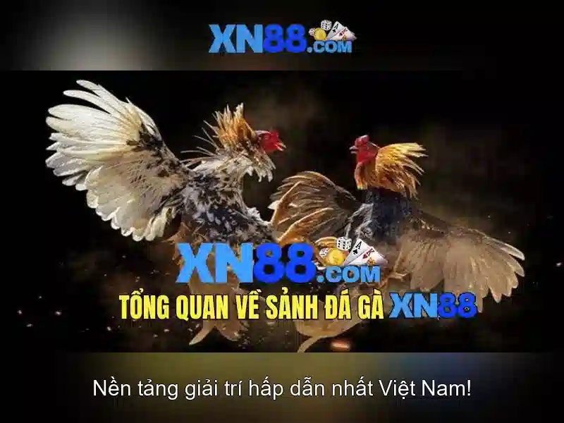 Giới thiệu về xn88