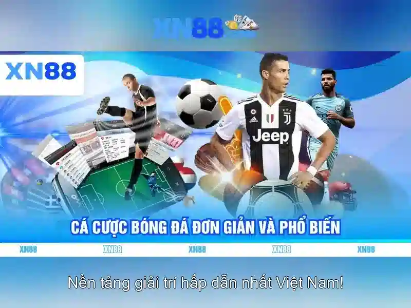 An toàn và trách nhiệm người dùng
