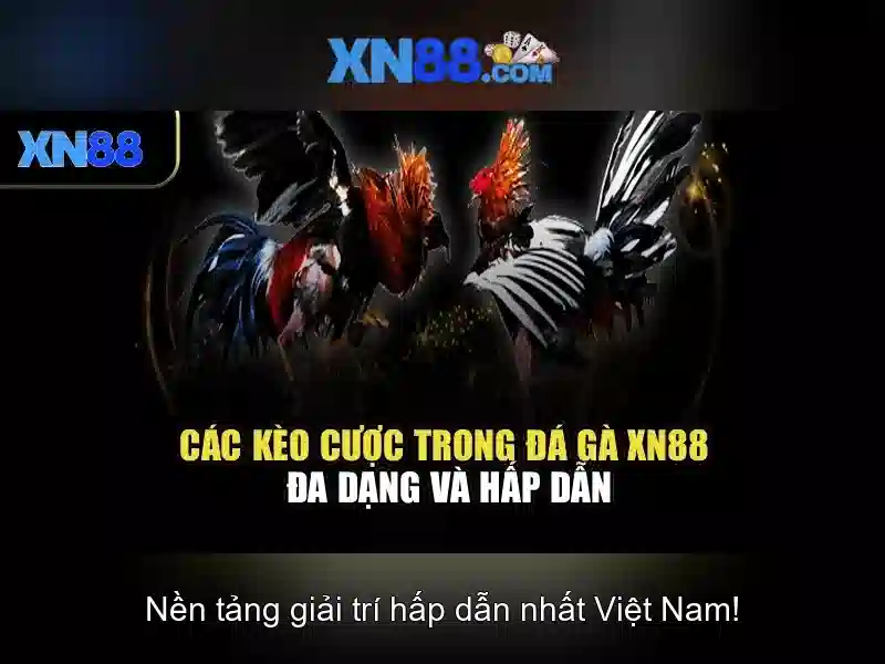 xn88 - Nền tảng chơi game trực tuyến đáng tin cậy